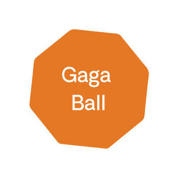 Gaga Ball Shape