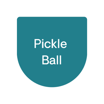 Pickle Ball Shape